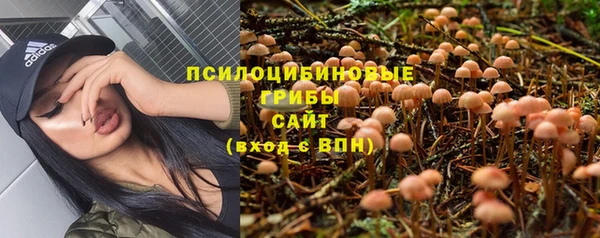 гидра Бугульма