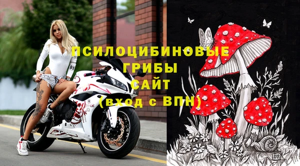 гидра Бугульма